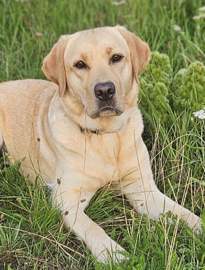 Lotti mit 18 Monaten