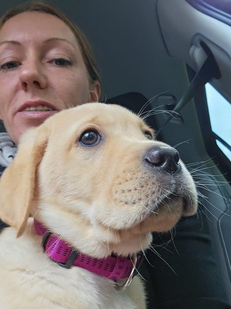 Lotti grad mit 10 Wochen vom Züchter abgeholt